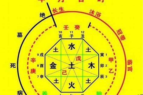 八字須|生辰八字算命、五行喜用神查詢（免費測算）